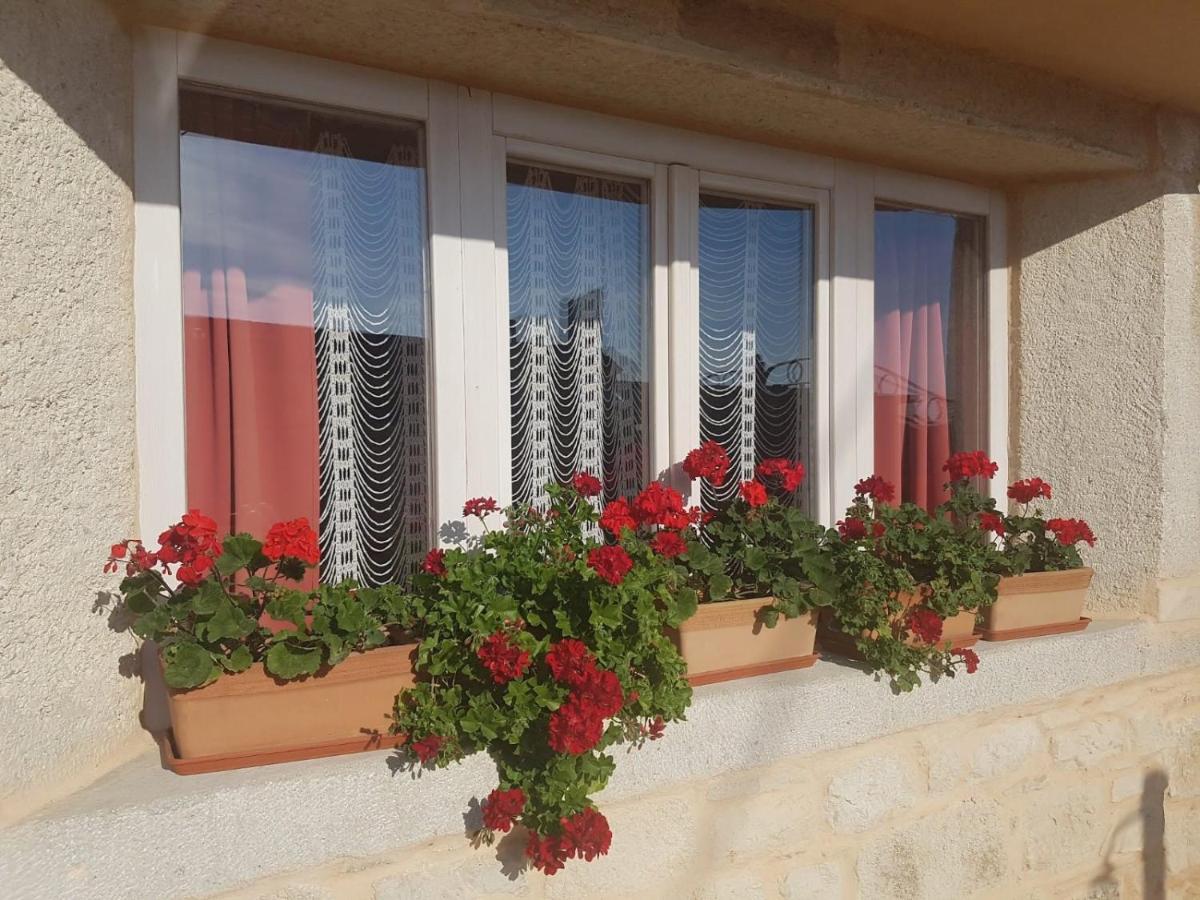 Casa Ladonja Villa Poreč Exterior foto